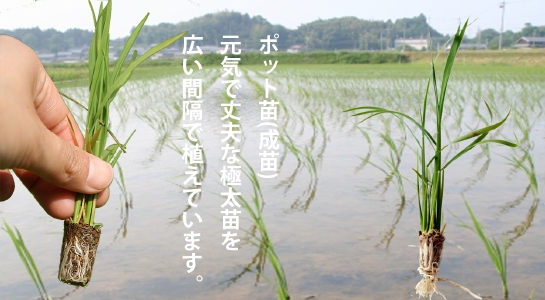 837c83b83g95c.jpg