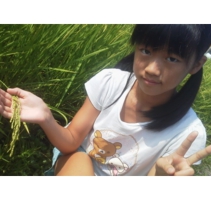 95e482aa908282ea82c482ab82dc82b582bd.jpg