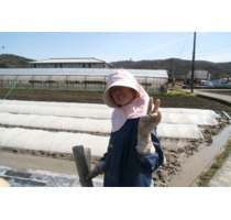 95c91e382dd82e2.jpg