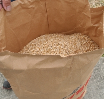 83j83j8ak82p.jpg